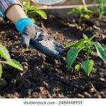 视频宣传片制作公司 wc2cz6wm